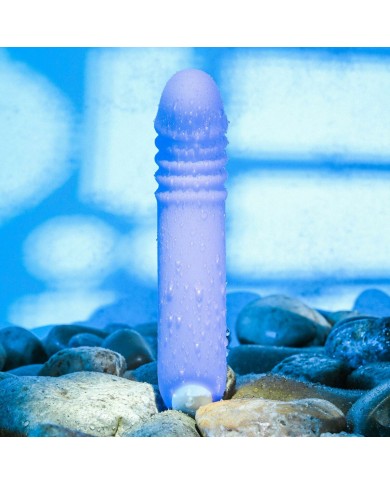 Vibratore per il Punto-G Evolved Viola Vibratore per il Punto-G Evolved Viola