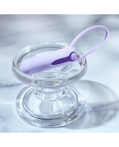 Vibratore Mini Evolved Lilac Desires Viola