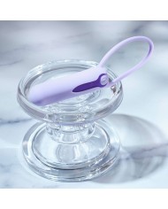 Vibratore Mini Evolved Lilac Desires Viola Vibratore Mini Evolved Lilac Desires Viola