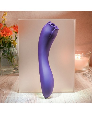 Vibratore Evolved Viola