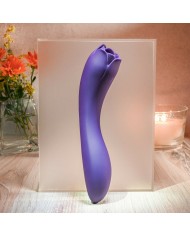 Vibratore Evolved Viola