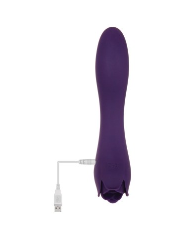 Vibratore Evolved Viola