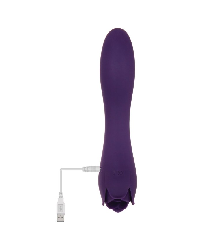 Vibratore Evolved Viola