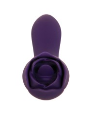 Vibratore Evolved Viola