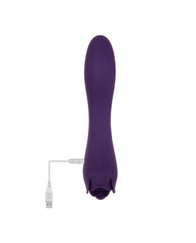 Vibratore Evolved Viola