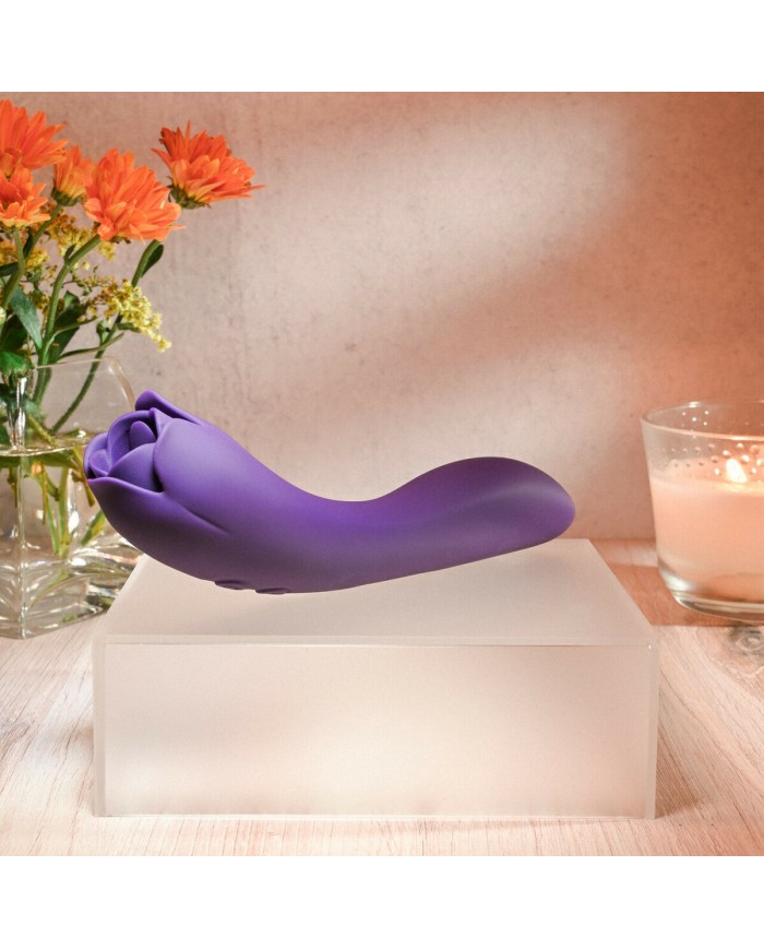 Vibratore Evolved Viola