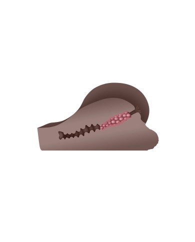 Jack Ass Endurance Gender X Gender X Marrone