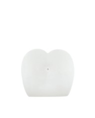 Jack Ass Endurance Gender X Gender X