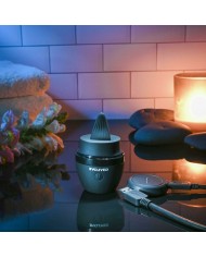 Accesorio Erotico Evolved Accesorio Erotico Evolved