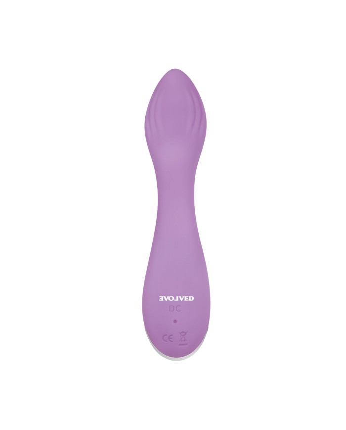 Mini Vibratore Evolved Lilac G Rosa Mini Vibratore Evolved Lilac G Rosa