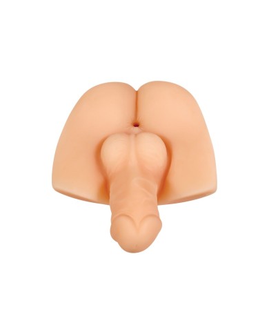 Jack Ass Endurance Gender X Gender X Carne