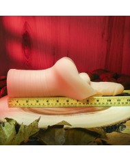 Jack Ass Endurance Gender X Gender X Carne Jack Ass Endurance Gender X Gender X Carne