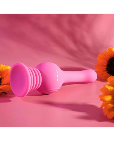 Vibratore Evolved Rosa