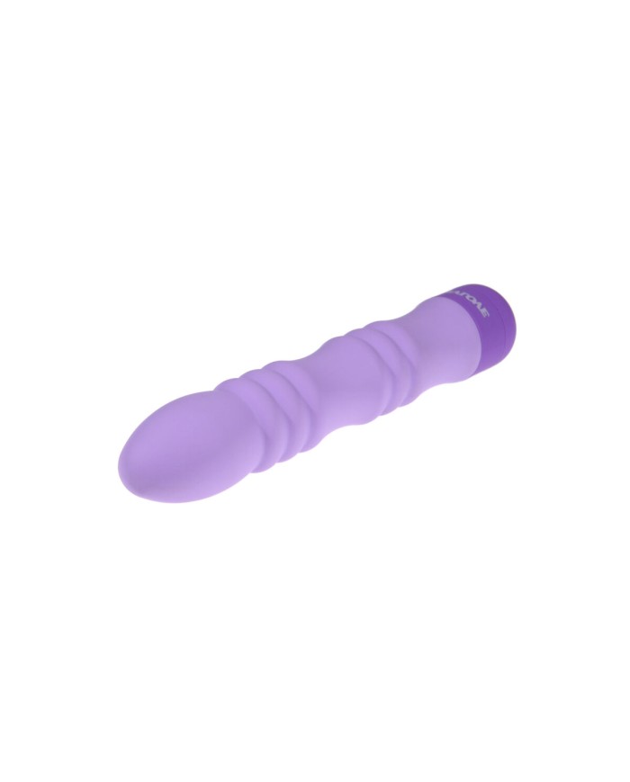 Vibratore Mini Evolved Viola