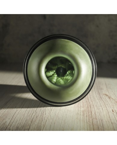 Jack Ass Endurance Selopa Selopa Verde