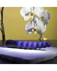 Vibratore Anale Selopa Viola