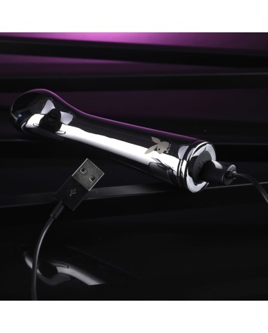 Vibratore per il Punto-G Playboy Playboy Argentato Vibratore per il Punto-G Playboy Playboy Argentato