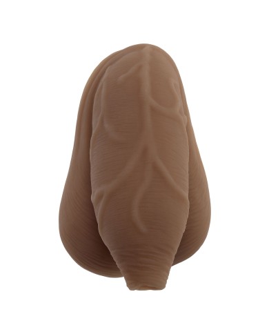 Dildo Realistico Gender X Gender X TPE Ø 4,3 cm Dildo Realistico Gender X Gender X TPE Ø 4,3 cm