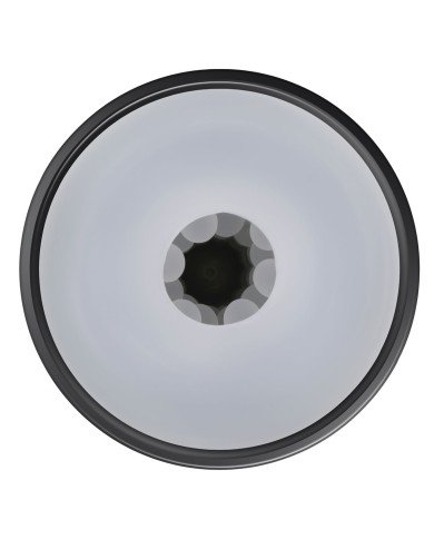 Jack Ass Endurance Playboy Playboy Nero