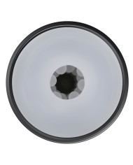 Jack Ass Endurance Playboy Playboy Nero