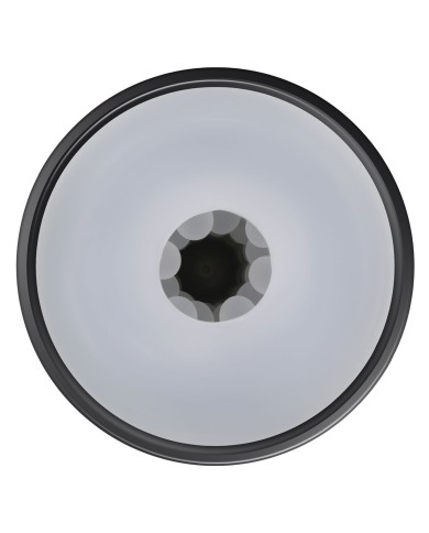 Jack Ass Endurance Playboy Playboy Nero