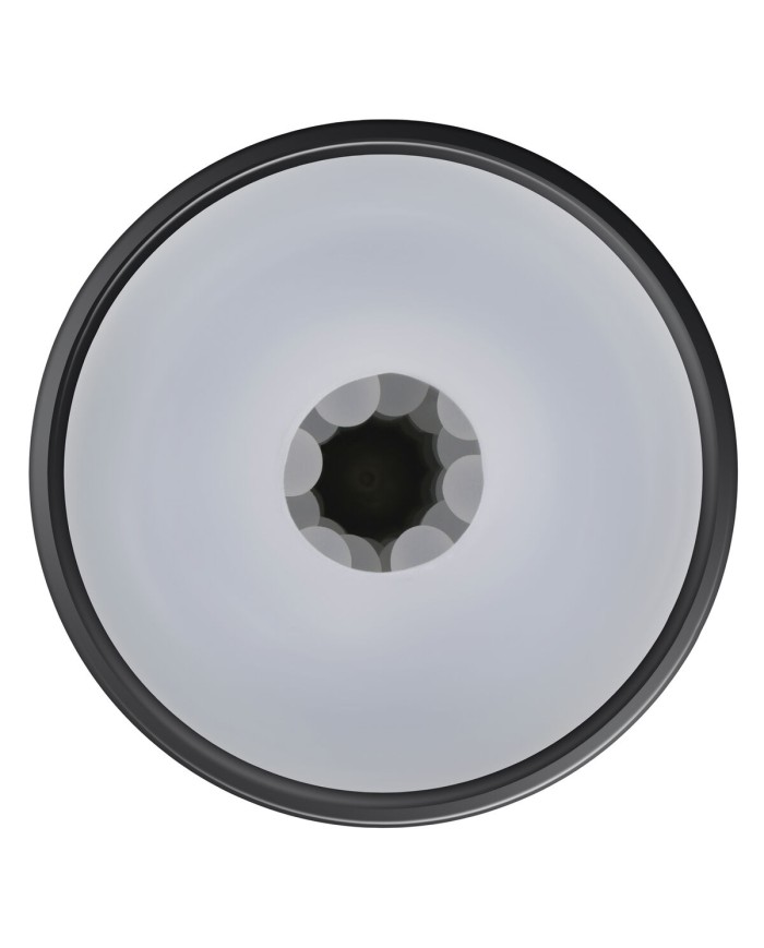 Jack Ass Endurance Playboy Playboy Nero