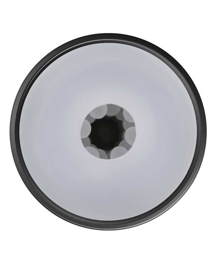 Jack Ass Endurance Playboy Playboy Nero