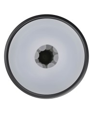 Jack Ass Endurance Playboy Playboy Nero