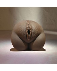 Jack Ass Endurance Selopa Selopa Marrone