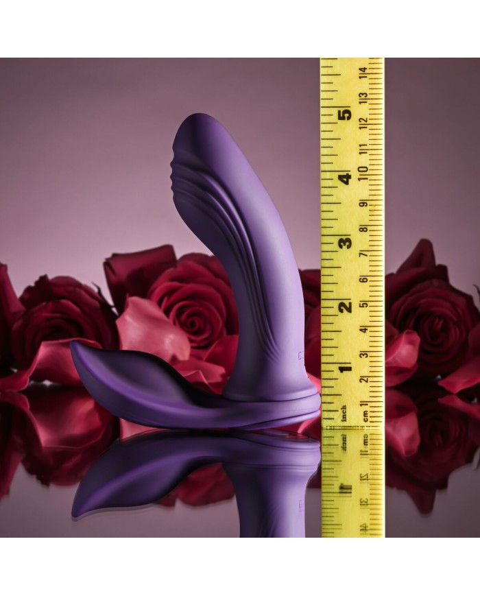 Anelli Fallici Playboy Playboy Viola Anelli Fallici Playboy Playboy Viola