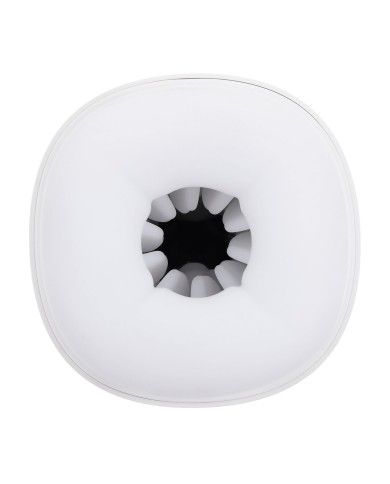 Jack Ass Endurance Playboy Playboy Bianco