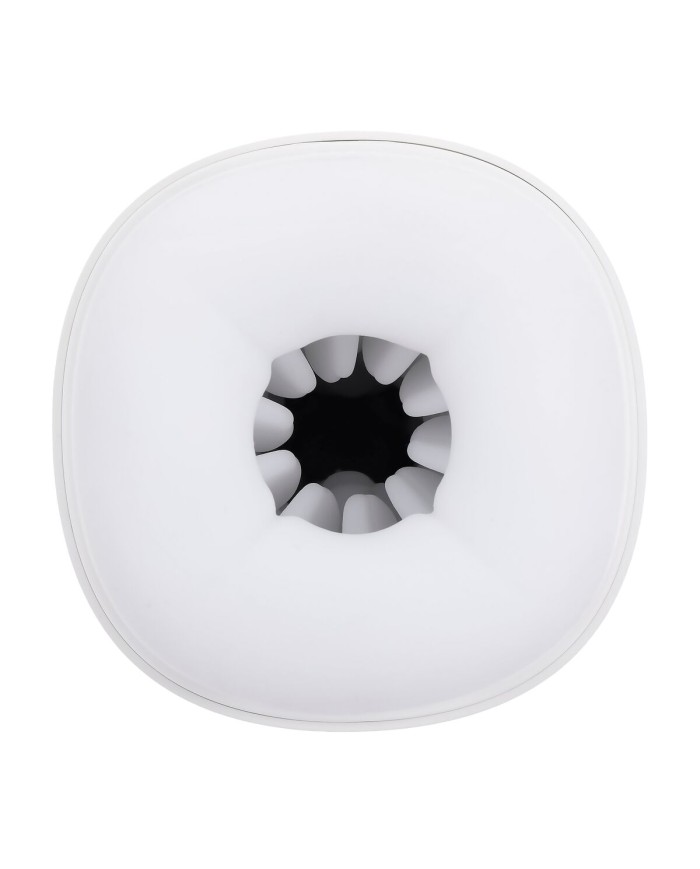 Jack Ass Endurance Playboy Playboy Bianco