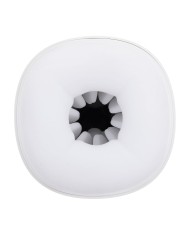 Jack Ass Endurance Playboy Playboy Bianco