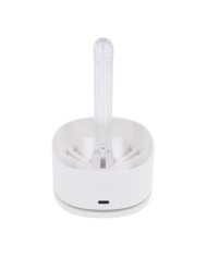 Jack Ass Endurance Playboy Playboy Bianco