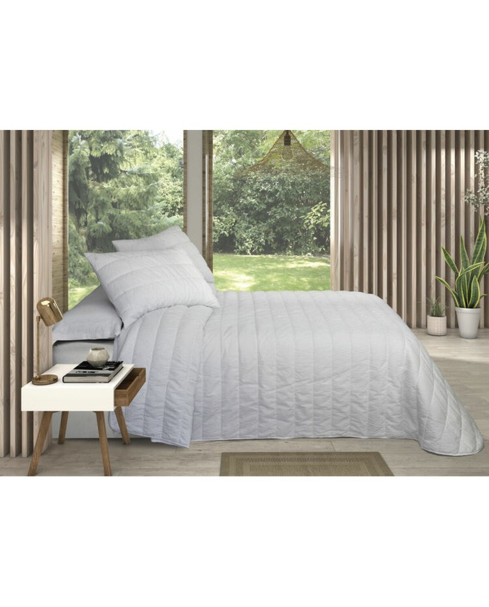 Trapunta Pierre Cardin OLIMPIA Bianco Singolo (2 Pezzi)