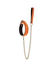 Collare con Cinghia Dream Toys Blaze