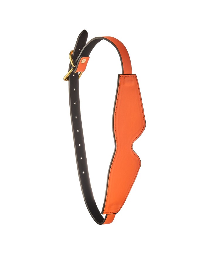 Flamboyant Blu e Verde Dream Toys Radiant