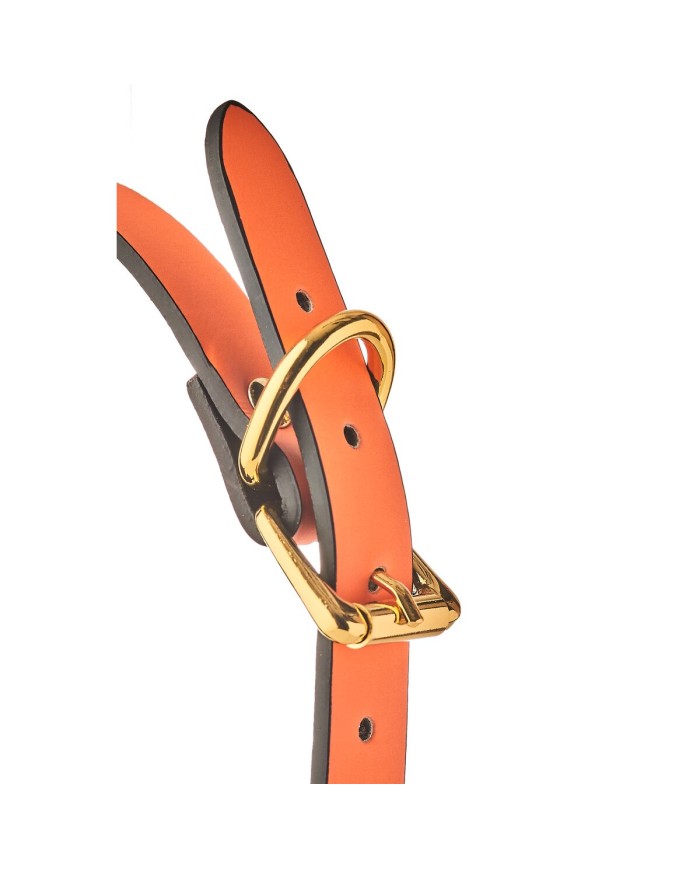 Flamboyant Blu e Verde Dream Toys Radiant