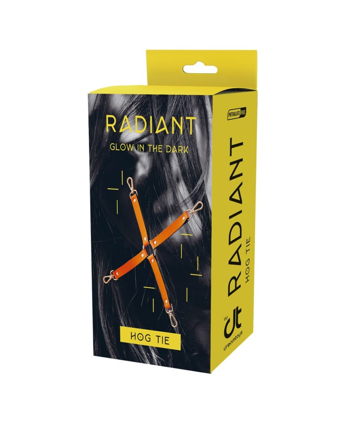 Altalena Dream Toys Radiant Altalena Dream Toys Radiant