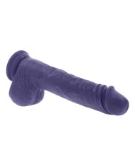 Vibratore Evolved Viola Vibratore Evolved Viola