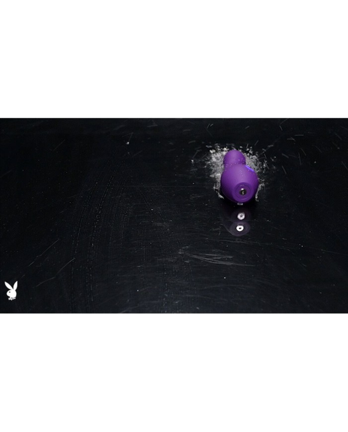 Stimolatore per il Clitoride Playboy The Jet Set Viola Stimolatore per il Clitoride Playboy The Jet Set Viola