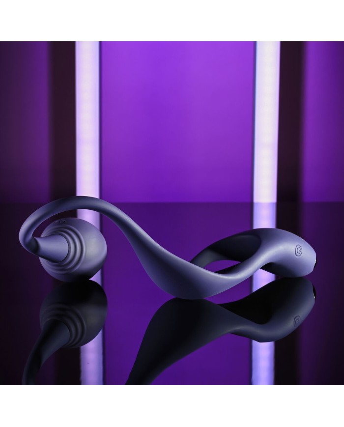 Vibratore Zero Tolerance Zero Tolerance Grigio Viola Vibratore Zero Tolerance Zero Tolerance Grigio Viola