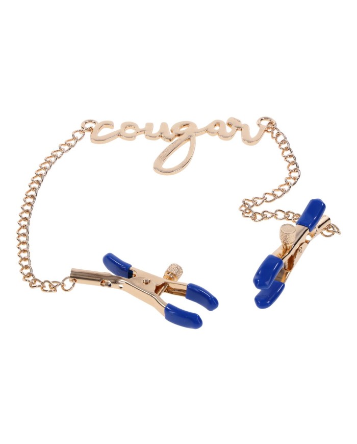 Catena di Morsetti per Capezzoli Sportsheets Sex and Mischief