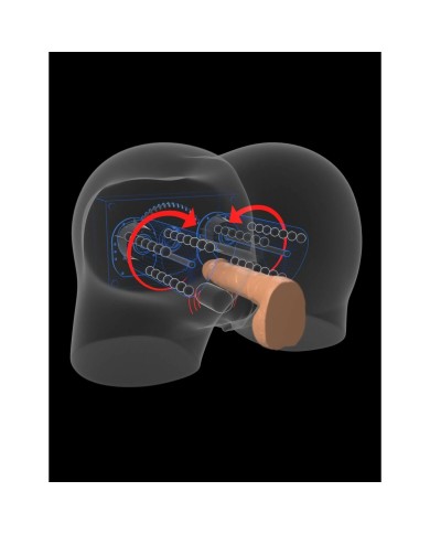 Jack Ass Endurance Pipedream PDX Elite Carne