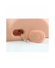 Jack Ass Endurance Pipedream Jack Ass Endurance Pipedream