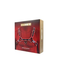 Cinghia New Comers Virgite MOD. 1 Nero Cinghia New Comers Virgite MOD. 1 Nero