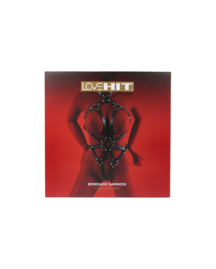 Kit per Schiavo Sexy Virgite