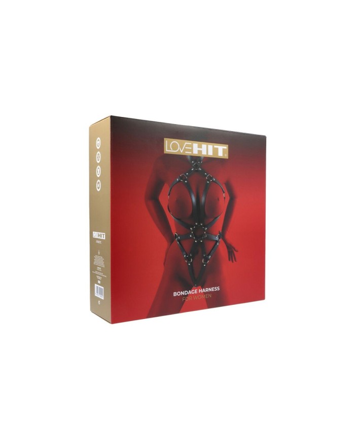 Kit per Schiavo Sexy Virgite