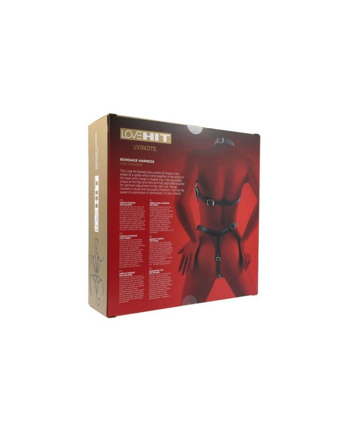 Kit per Schiavo Sexy Virgite