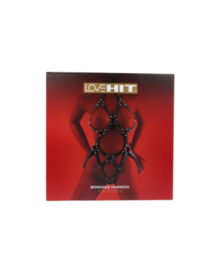 Kit per Schiavo Sexy Virgite Kit per Schiavo Sexy Virgite